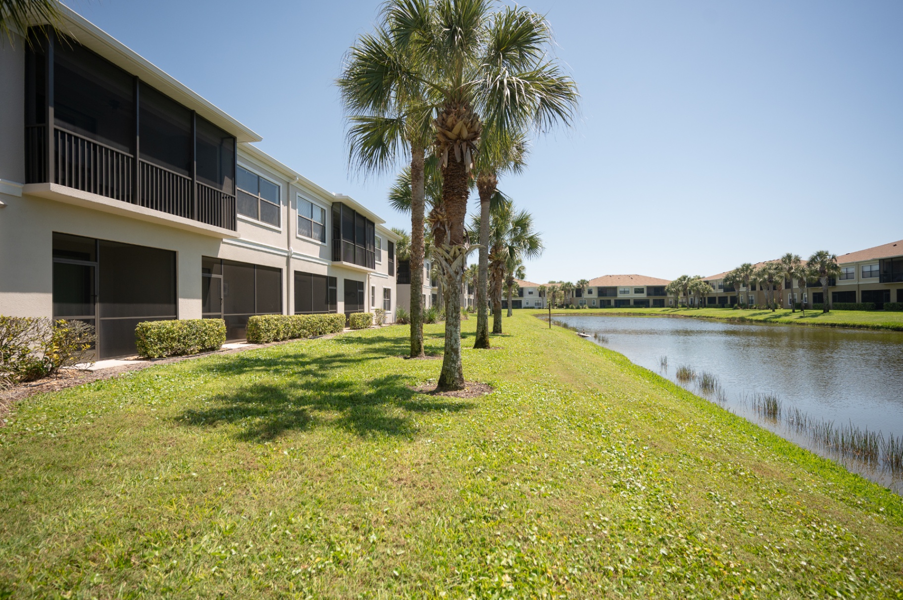 Palm-lined community grounds beside the pond behind the home