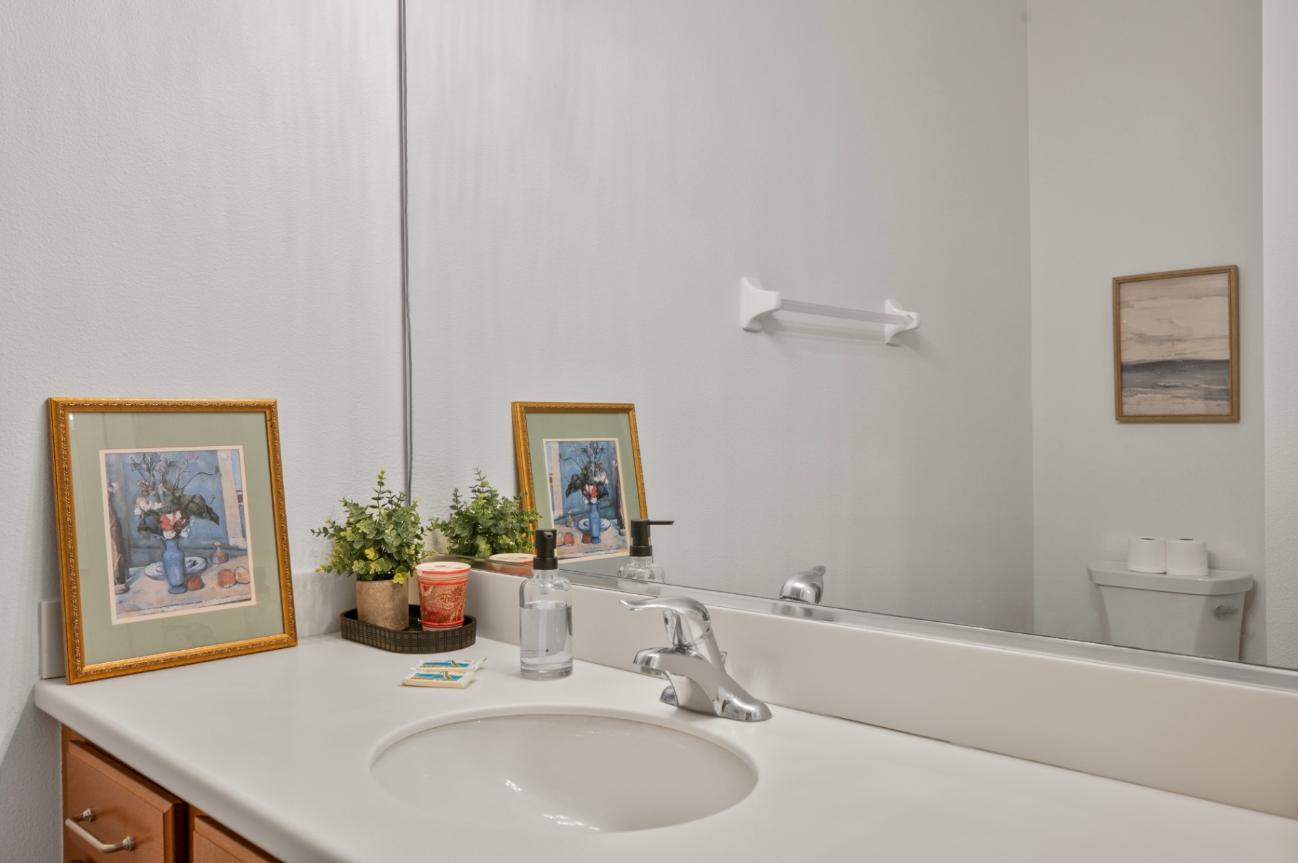 Bathroom vanity with countertop, framed art, and mirror